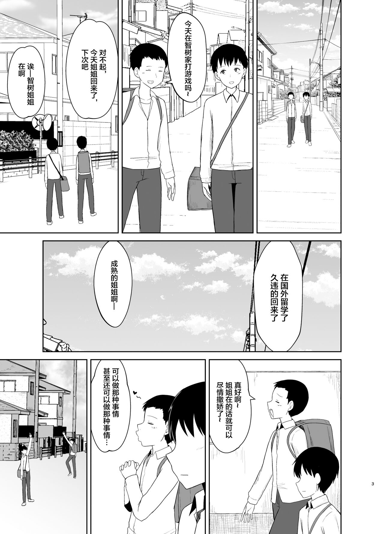 Kaette Kita Onee-chan - Page 3