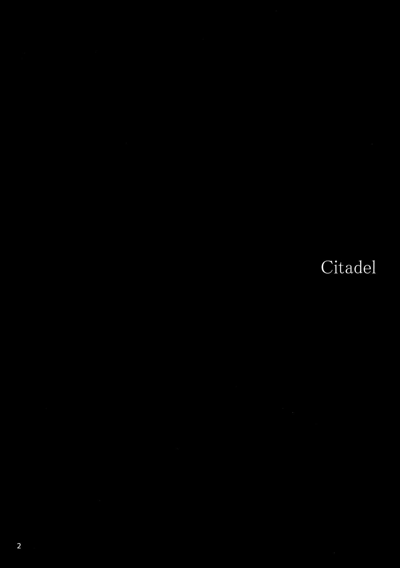 Citadel - Page 4