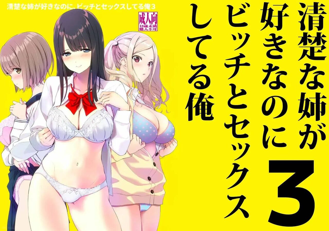 Seiso na Ane ga Suki nanoni, Bitch to Sex Shiteru Ore 3 - Page 42