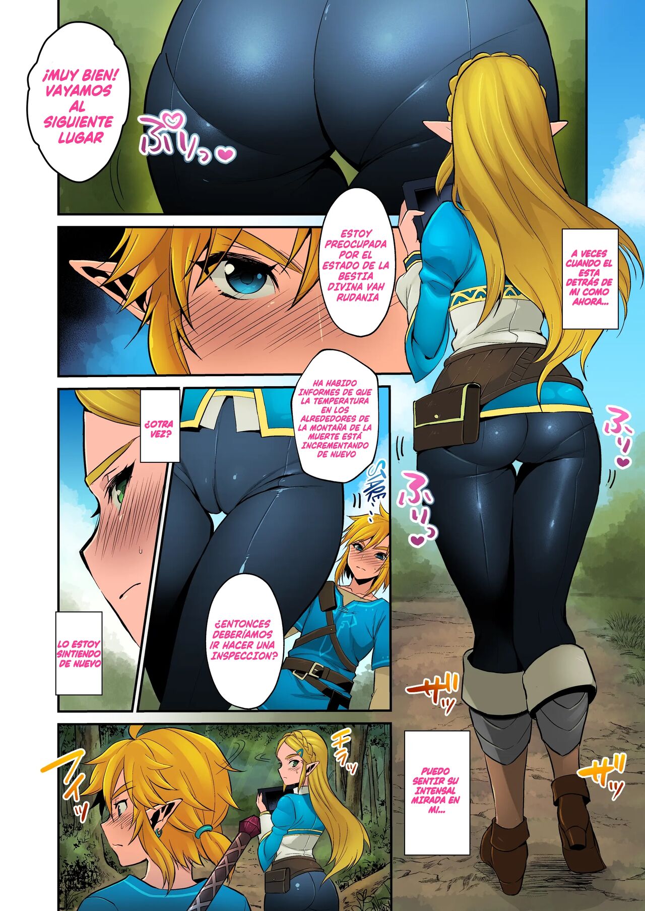 Hyrule Hanei no Tame no Katsudou! - Page 3