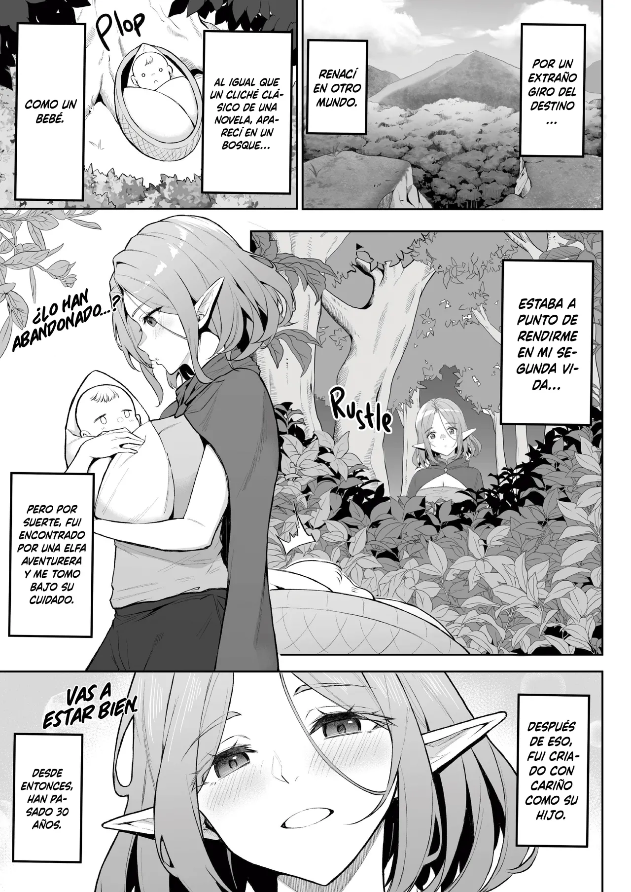 Tensei Shitara Kahogo na Elf-san ni Hirowareta Ken | Acogido Por Una Elfa Sobreprotectora - Page 4