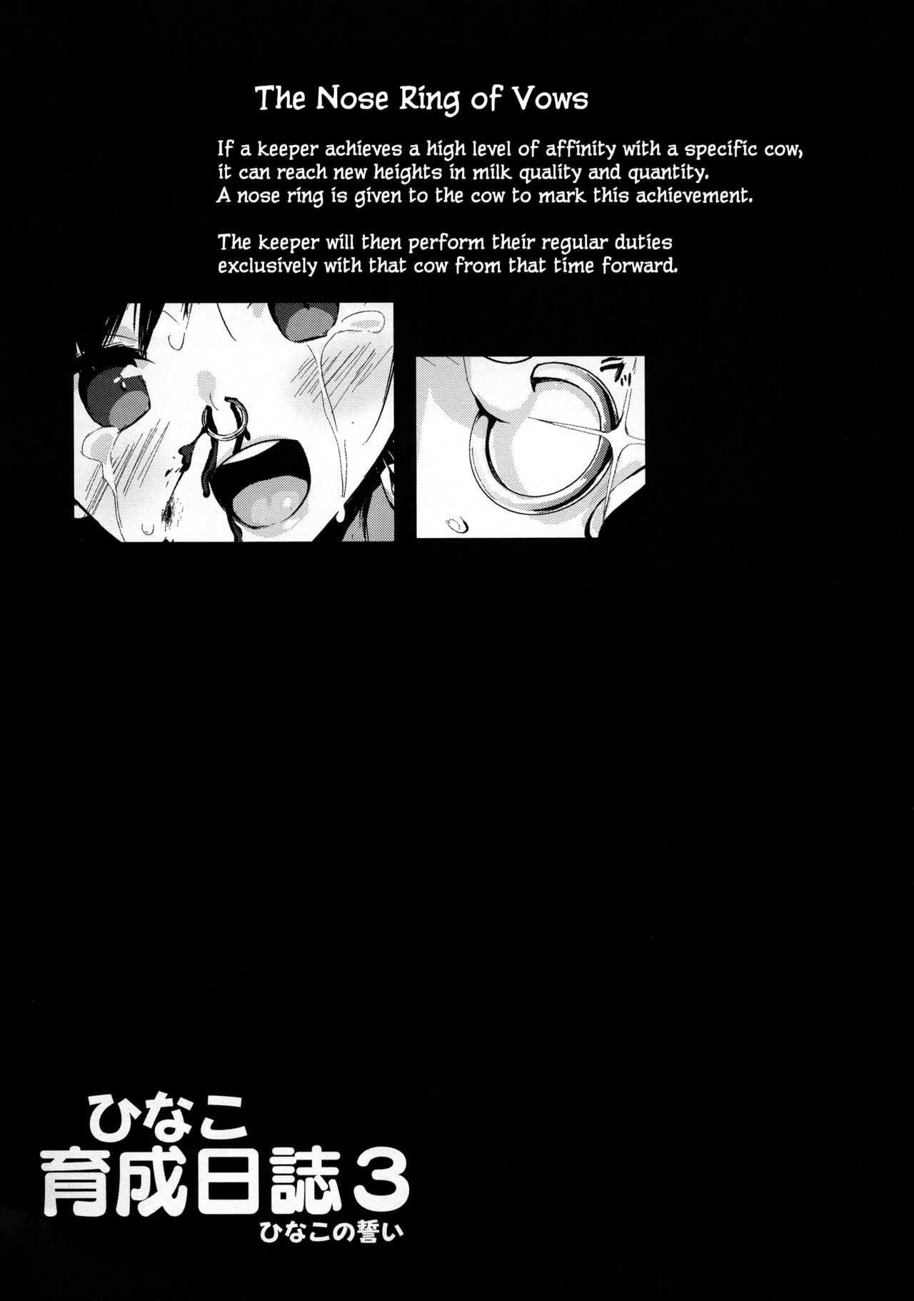 Hinako Ikusei Nisshi 3 - Page 28